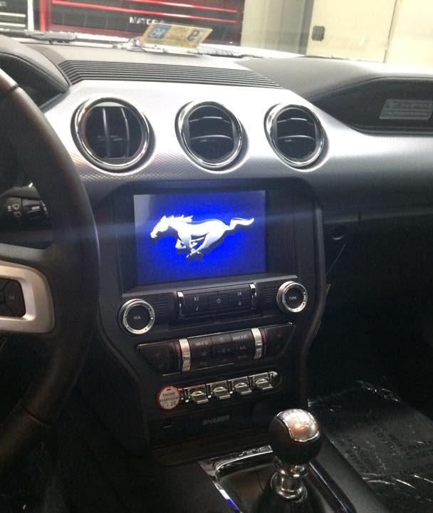 Custom Built System Mustang GT